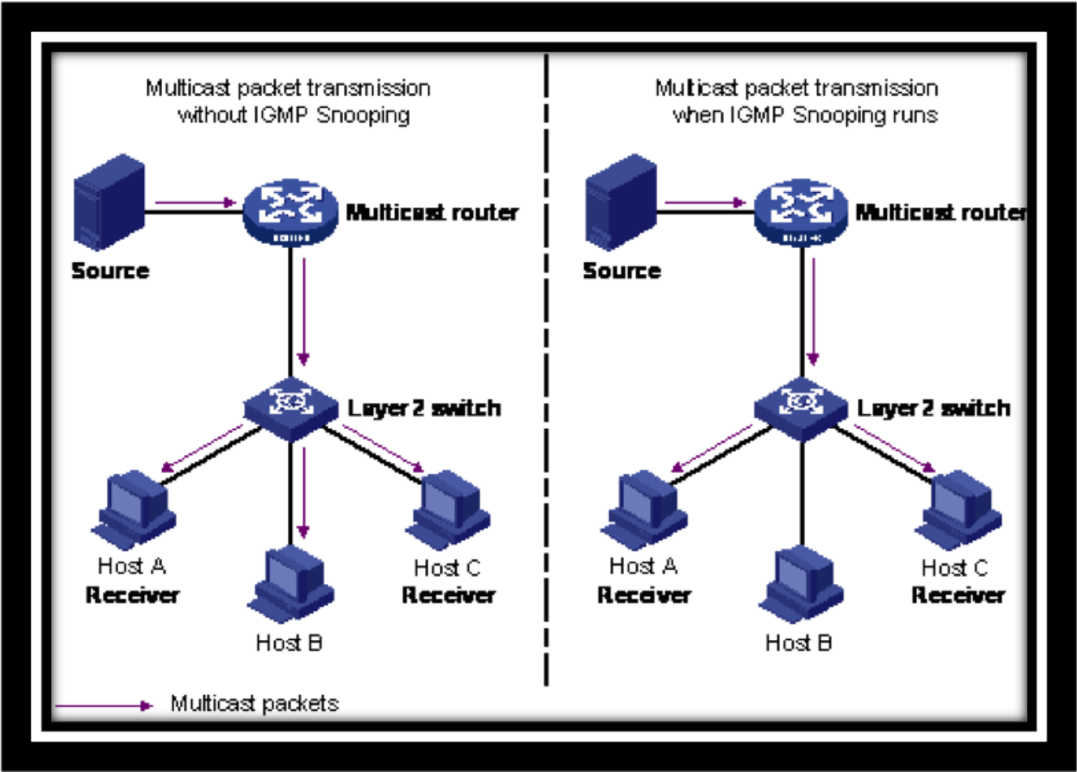 Multi Dante IGMP Pic2